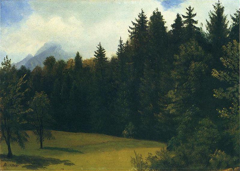 Albert Bierstadt Greater San Francisco Area (Mountain Glade and Mountain Resort) oil painting picture